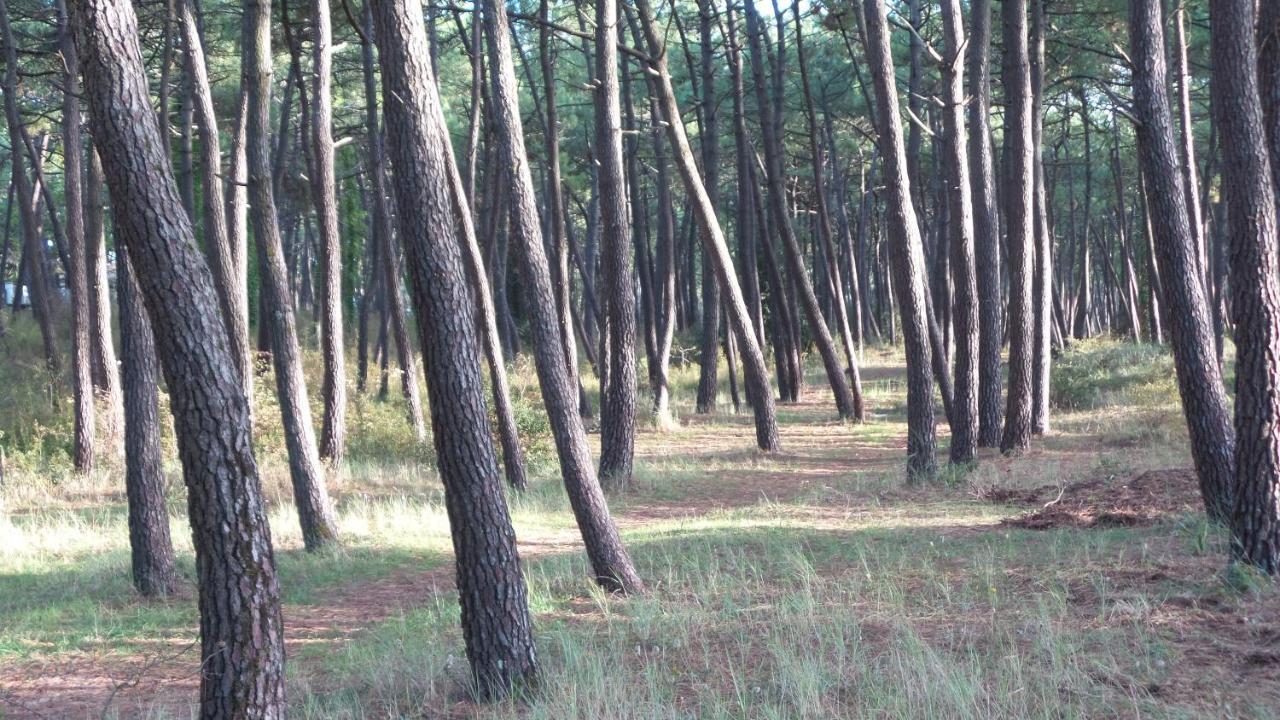 Chambre D'Hotes Et Spa De La Presqu'Ile La Faute-sur-Mer Bagian luar foto
